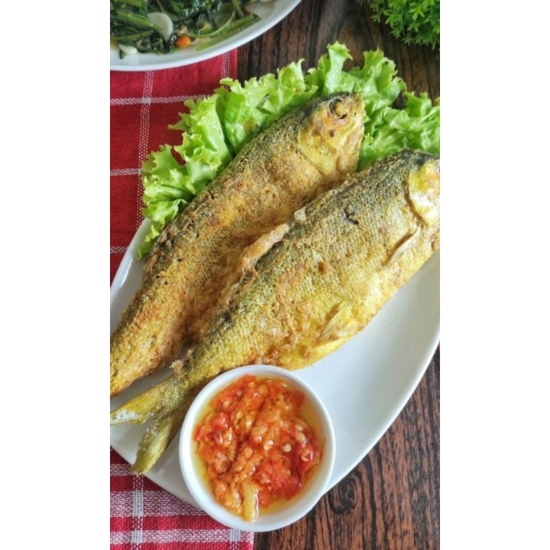 

BANDENG | BANDENG BIASA | BANDENG PRESTO