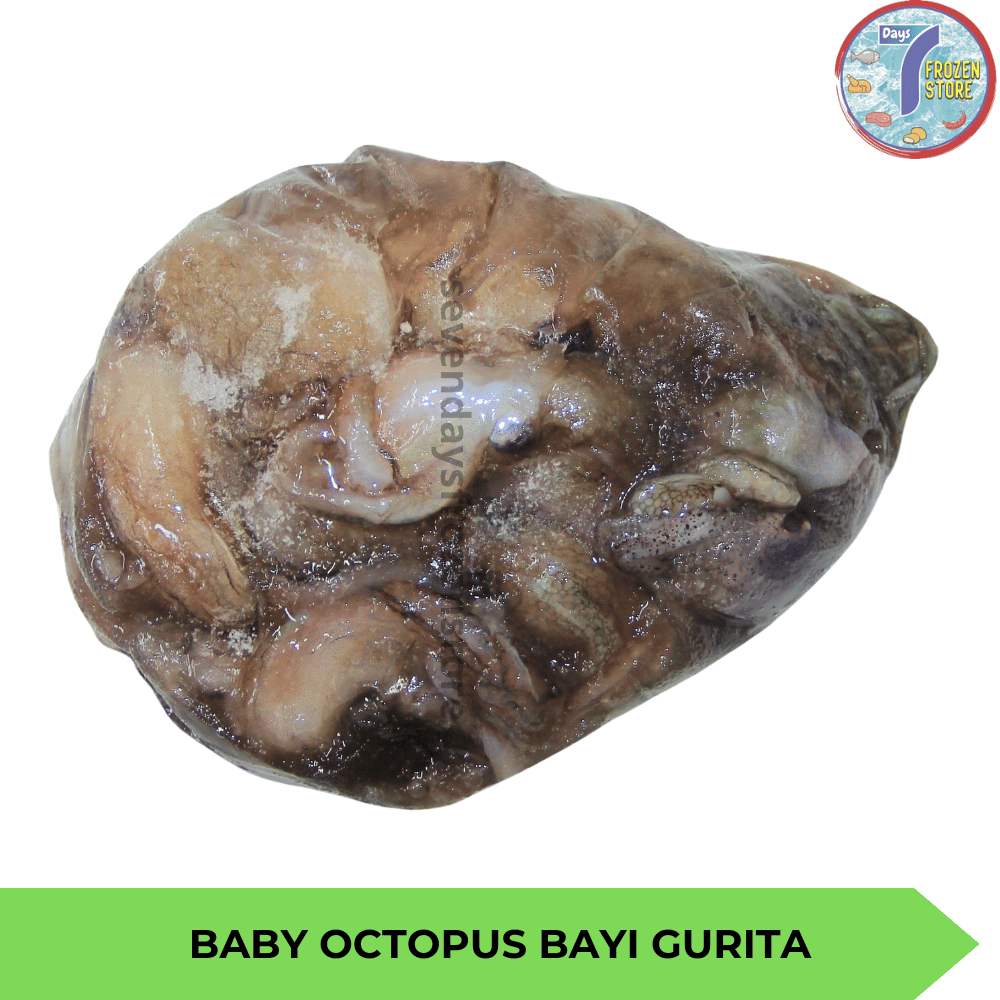 

RB Baby Octopus Beku Halal 400gr Nutrisi Kulit & Jantung