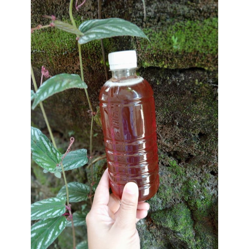 

Madu hutan asli