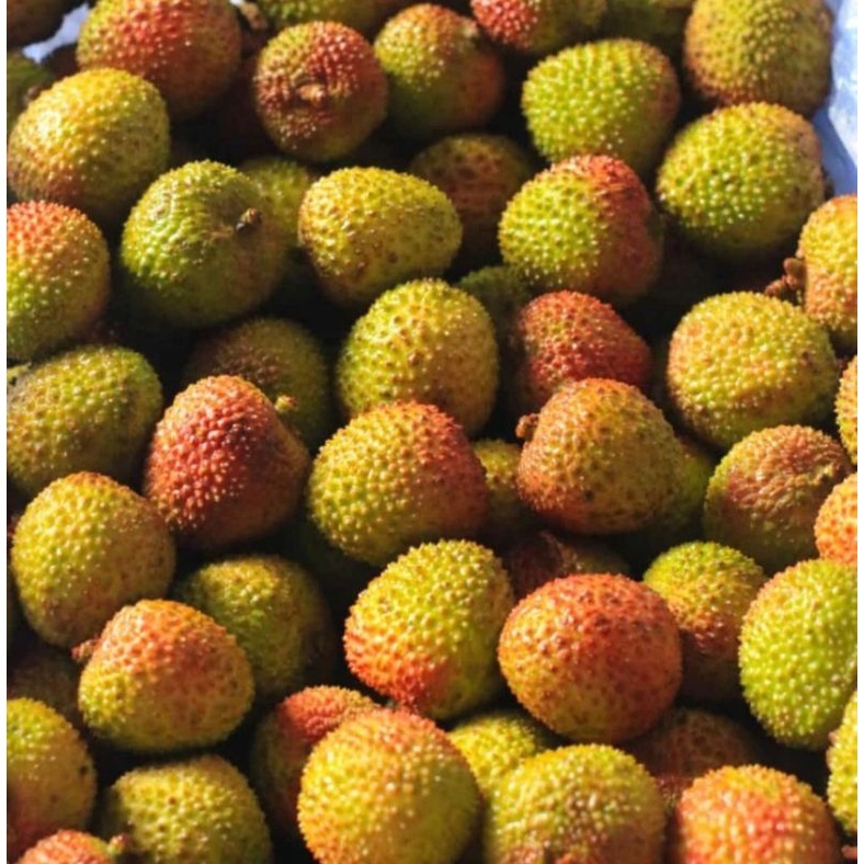 

Buah Leci Hijau 500gr stock terbatas, Ready Stock Delivery Jogja