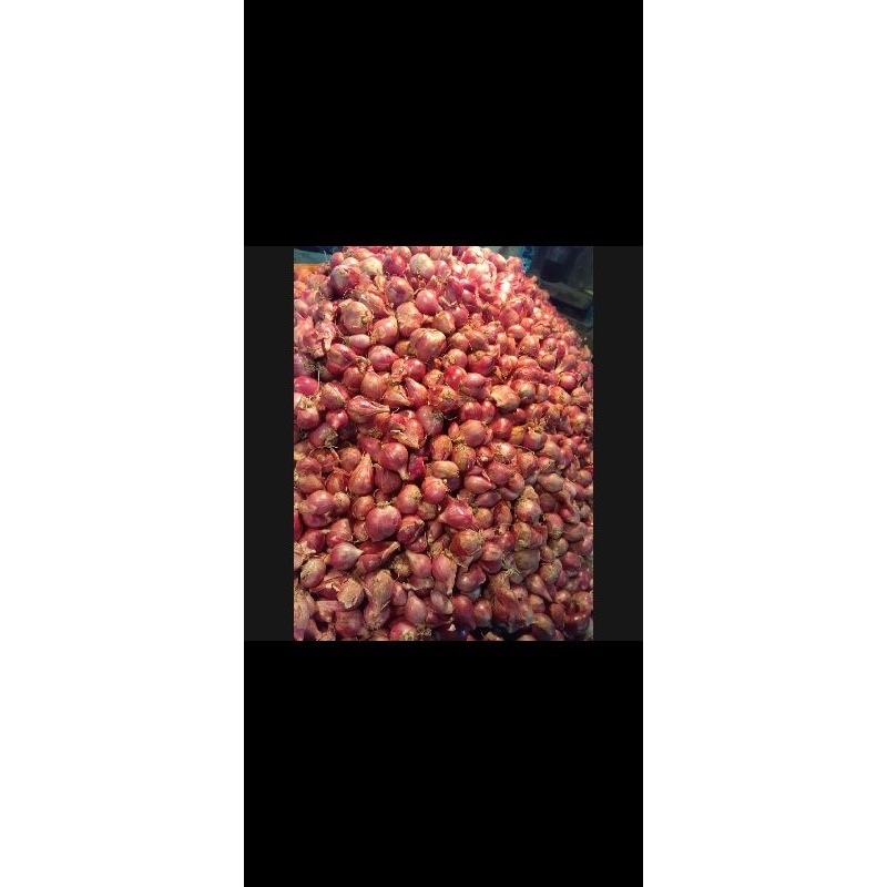 

bawang merah