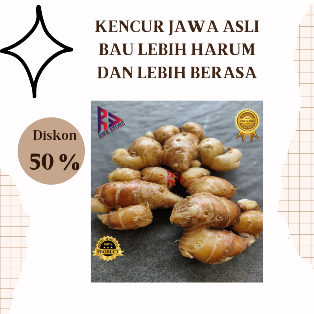 

Kencur jawa segar / cikur segar 1 kg termurah untuk seblak maupun jamu dan bumbu masakan lainya