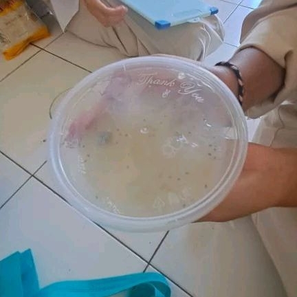 

[PRE-ORDER] HOMEMADE MINUMAN NATA DE ALOE