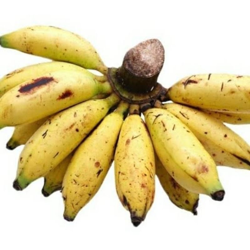 

Pisang lampung 1 sisir