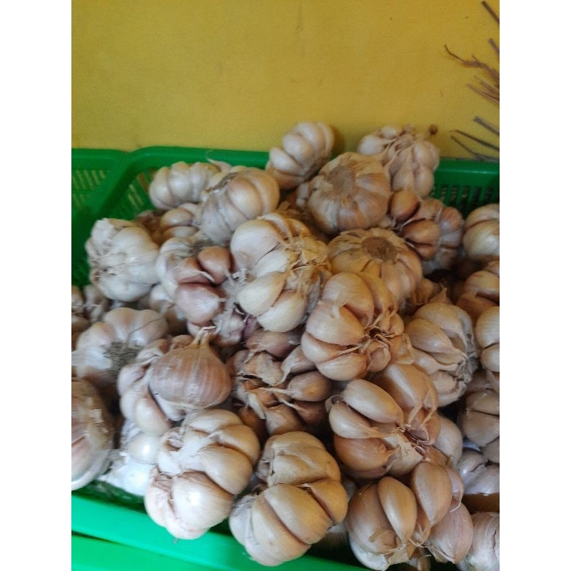 

bawang putih pilihan