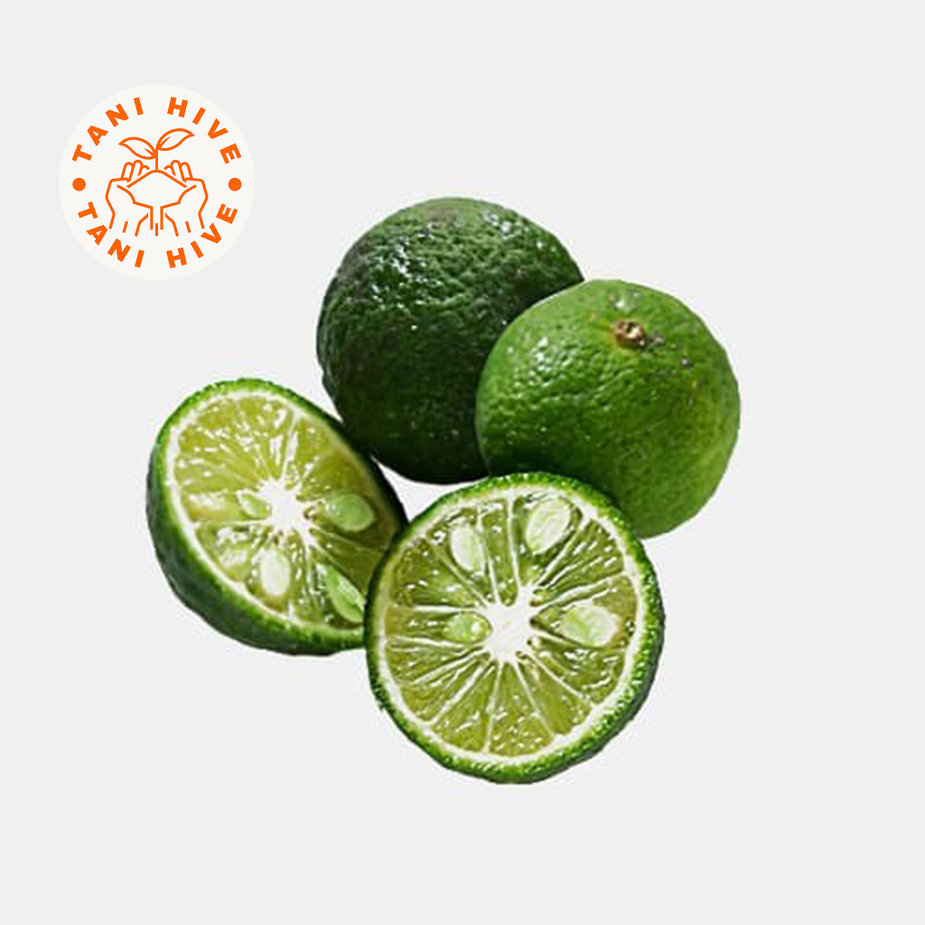

jeruk limo 1kg