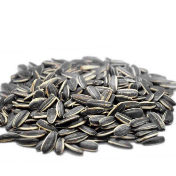 

Kuaci Biji Bunga Matahari 5GRAM Sunflower Seed kwaci matang kuaci Rasa Original