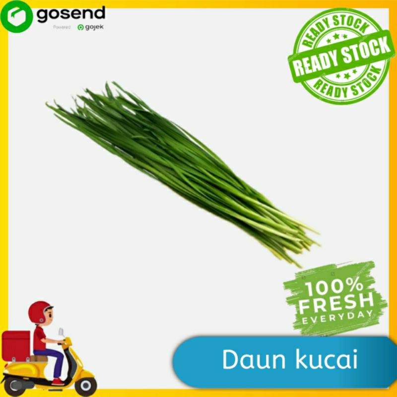 

Daun kucai