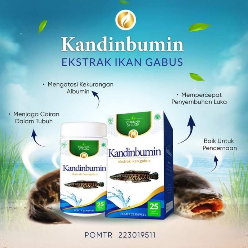 

KandinBumin