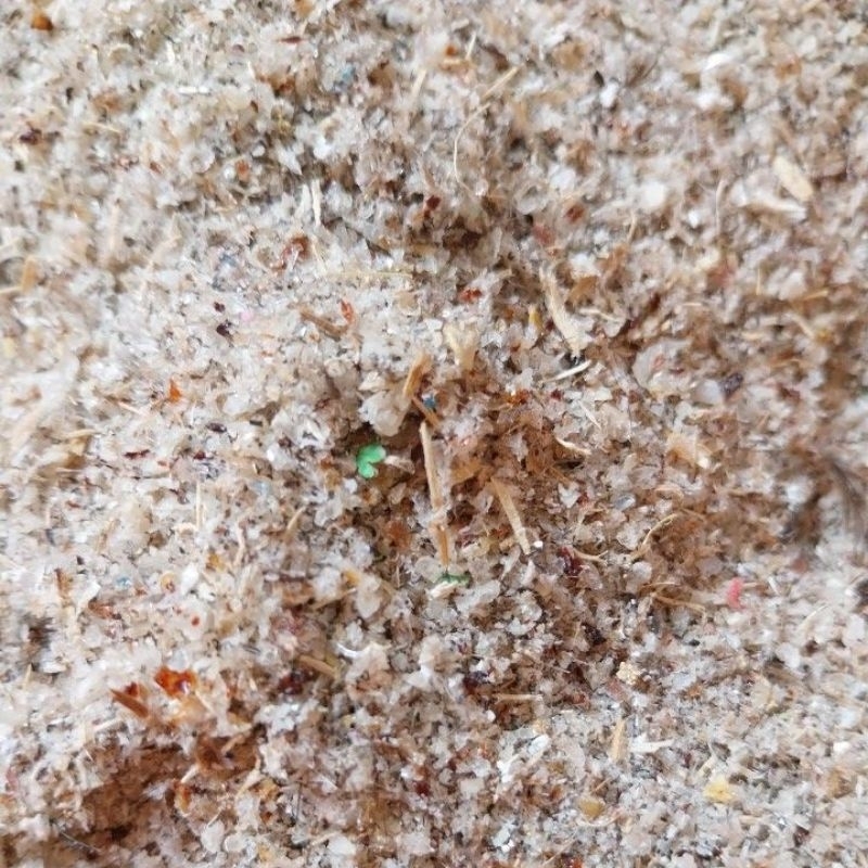 

Korzaln Walet Hancuran Lembut Siap Masak Kebersihan 50% Harga Per 50Gram Ya Kka