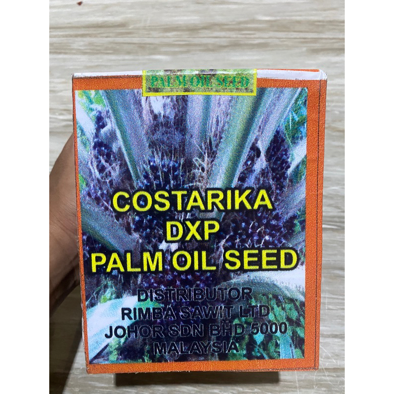 BIBIT SAWIT COSTARIKA KUALITAS UNGGUL BERSERTIFIKAT