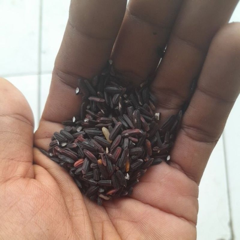 

ketan hitam berkwalitas haraga tertera 500g