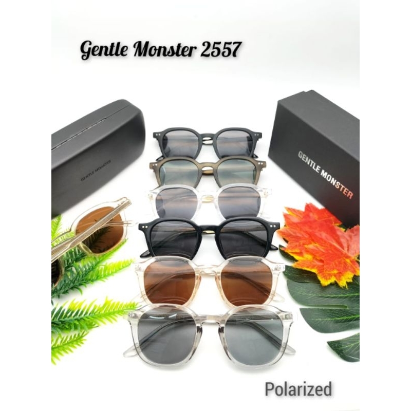 Gentle monster Best seller Kacamata gaya pria dan wanita lensa polarized model terpavorit