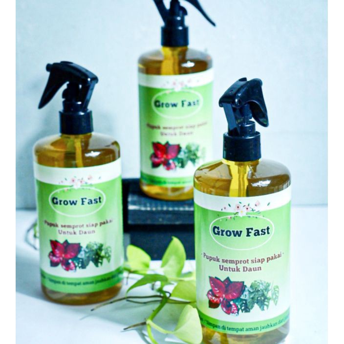 D2289 grow fast pupuk daun  aglonema  pupuk penyubur tanaman hias  pupuk aglonema terbaik  pupuk pen