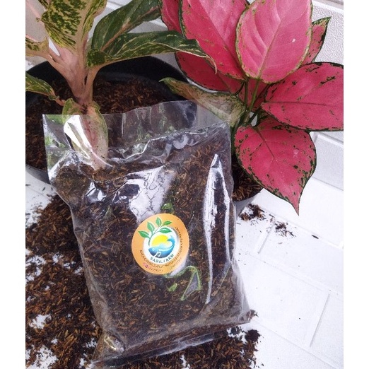 MEGA SALE METAN POROUS 3KG Media tanam Aglonema Fermentasi kemasan Besar ukuran 3Kg