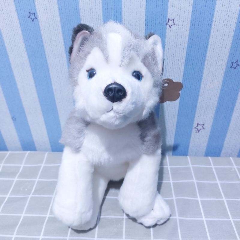 Boneka Anjing Husky Dog Ori By Keel Toys - ±45cm - size XL - New No Tag