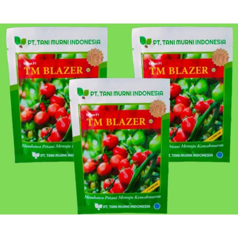 benih tomat TM blazer isi 3000 biji