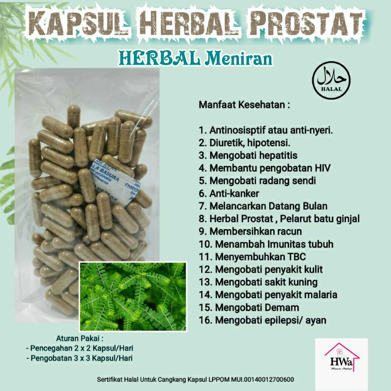 

Kapsul Prostat Herbal Prostat isi 100 kapsul - Kapsul Meniran -