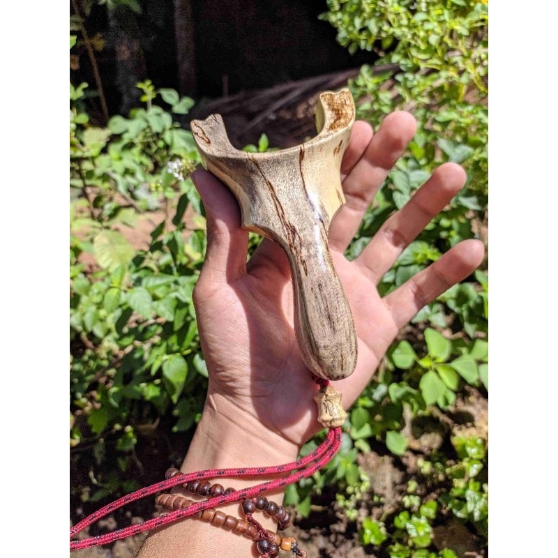 Ketapel Kayu Asem Jawa OTT