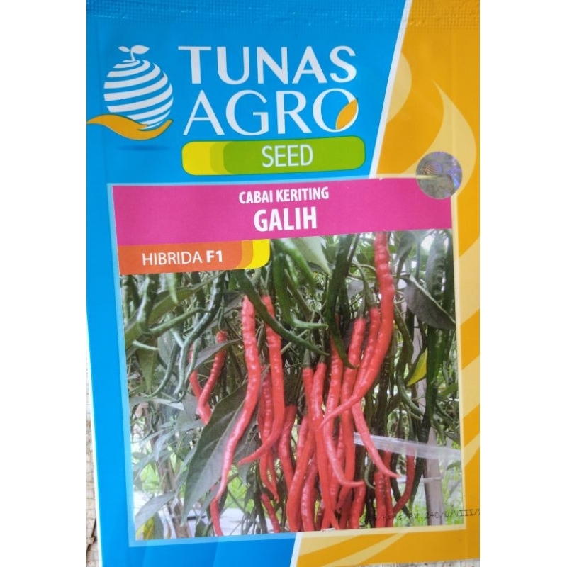 BENIH CABE KERITING GALIH 10 GRAM