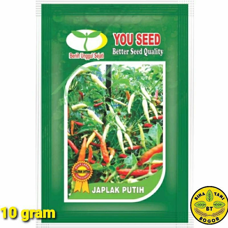 Benih Cabe rawit putih merunduk JAPLAK PUTIH /Bibit unggul Isi 10 gram