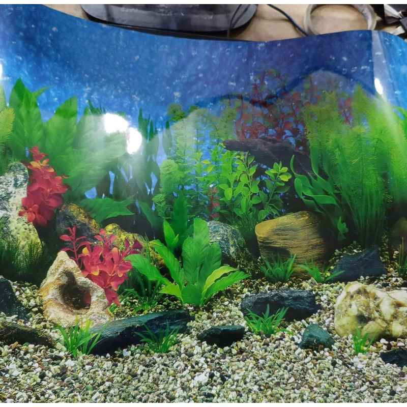 WALPAPER BACKGROUND AQUARIUM 2 SISI panjang 100cm tinggi 30cm 40cm 50cm 60cm