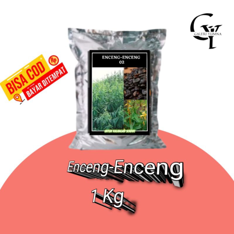 Benih Tanaman Kartok Enceng Enceng Orok Orok 1Kg