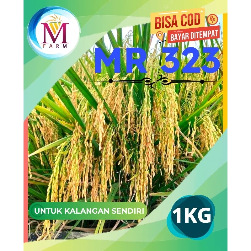 benih padi mr 323 kemasan 1kg