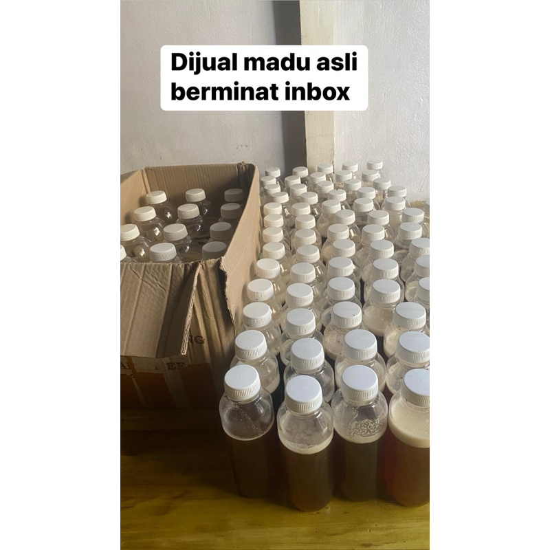 

MADU HUTAN ASLI