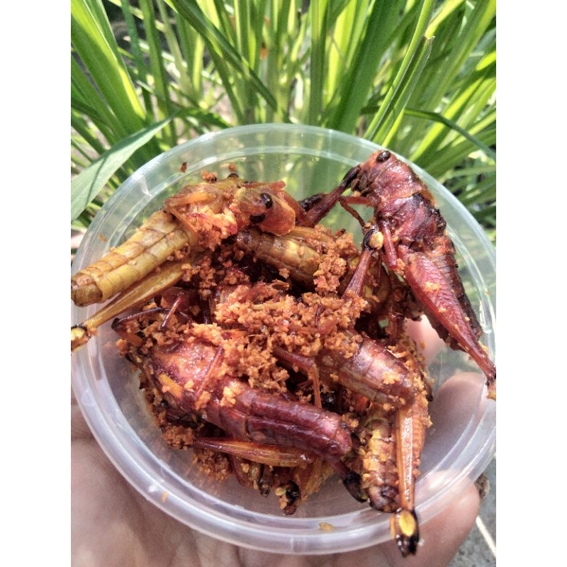 

BELALANGGORENGKRIYUK KEMASAN CUP MINI