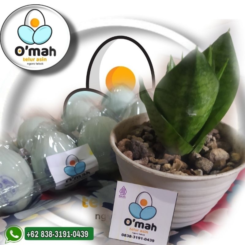 

Telur asin 1 pack isi 10 ukuran sedang.