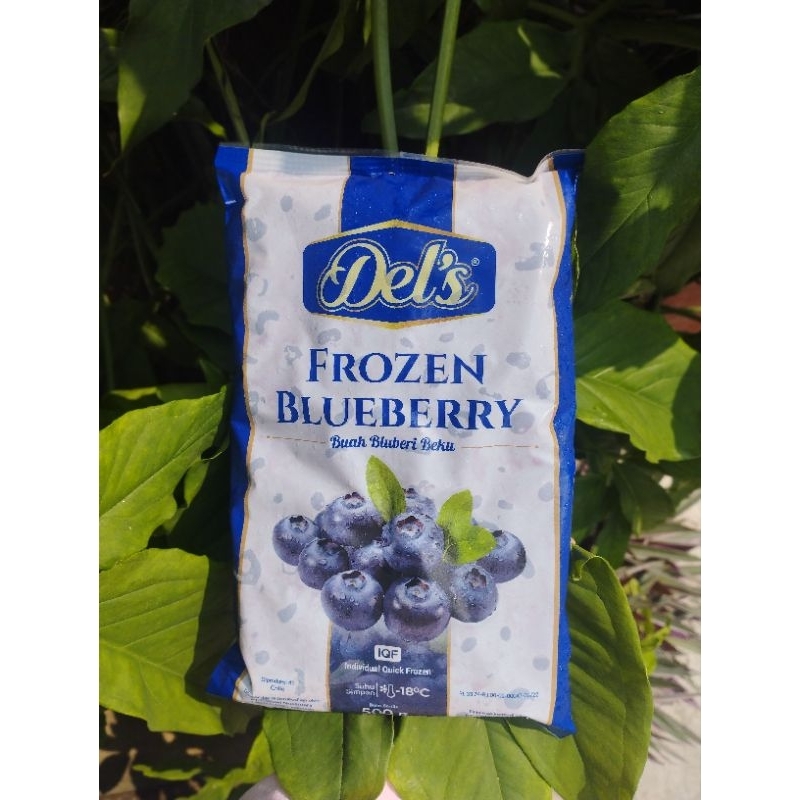 

Buah Blueberries Frozen Utuh 500 gr Premium