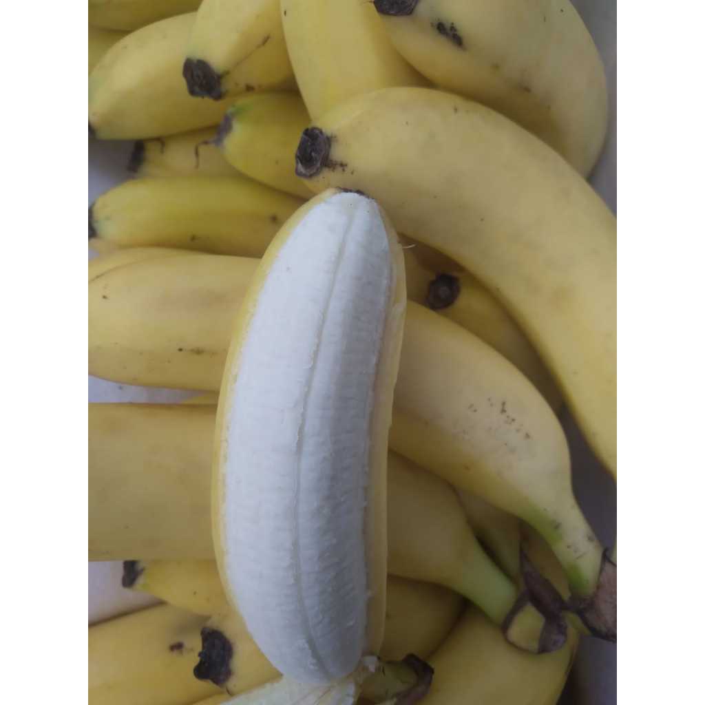 

Pisang Cavendish Sunpride 1 Kg