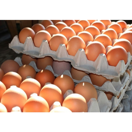 

Telur Telor Ayam Negeri PREMIUM Fresh - 30 butir / 1 tray (CREAM / MERAH)