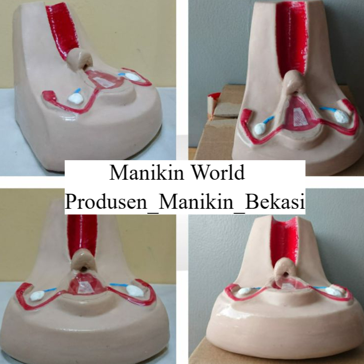 UTERUS / RAHIM / ORGAN REPRODUKSI WANITA / ALAT PERAGA / PHANTOM / MANEKIN / SIMULATOR
