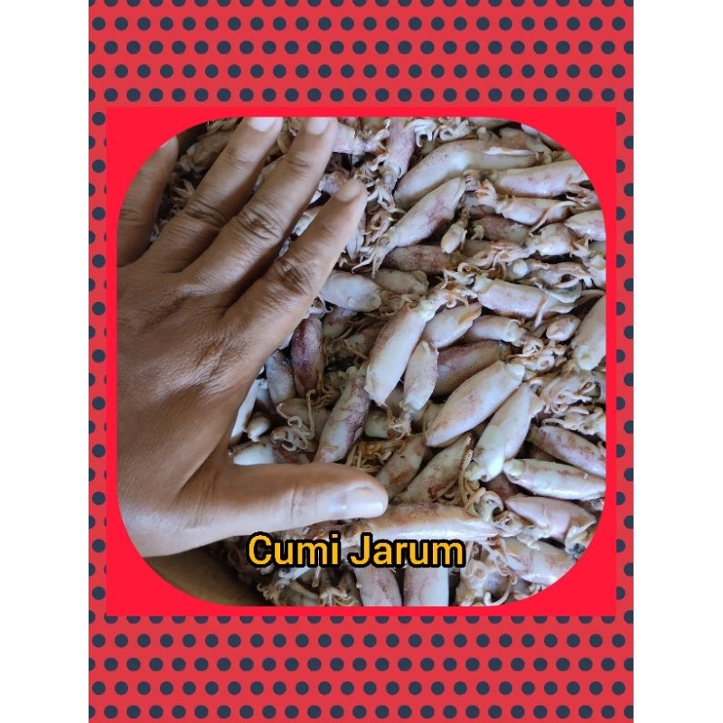 

Cumi Jarum atau baby cumi 3-5 cm super 250 gr