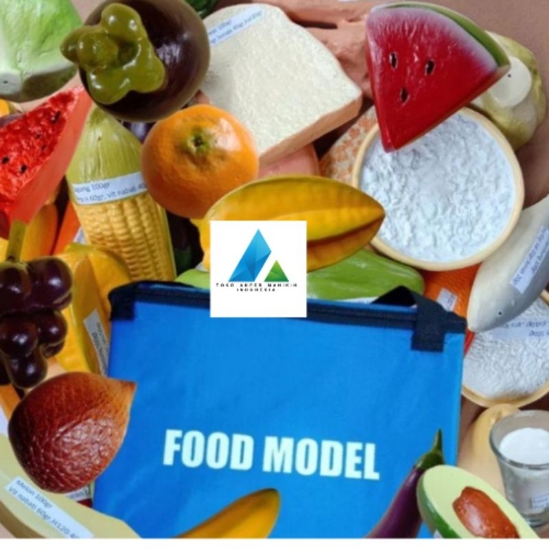 ALAT PERAGA FOOD MODEL | MANIKIN FOOD MODEL GIZI | FOOD MODEL 26ITEM