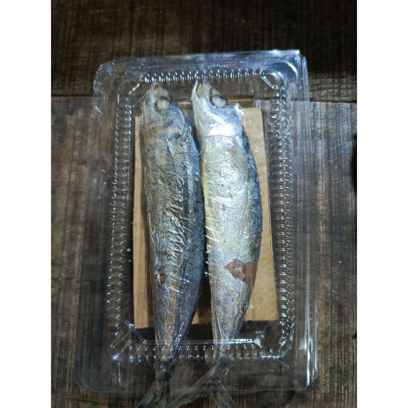 

Ikan Layang Mika