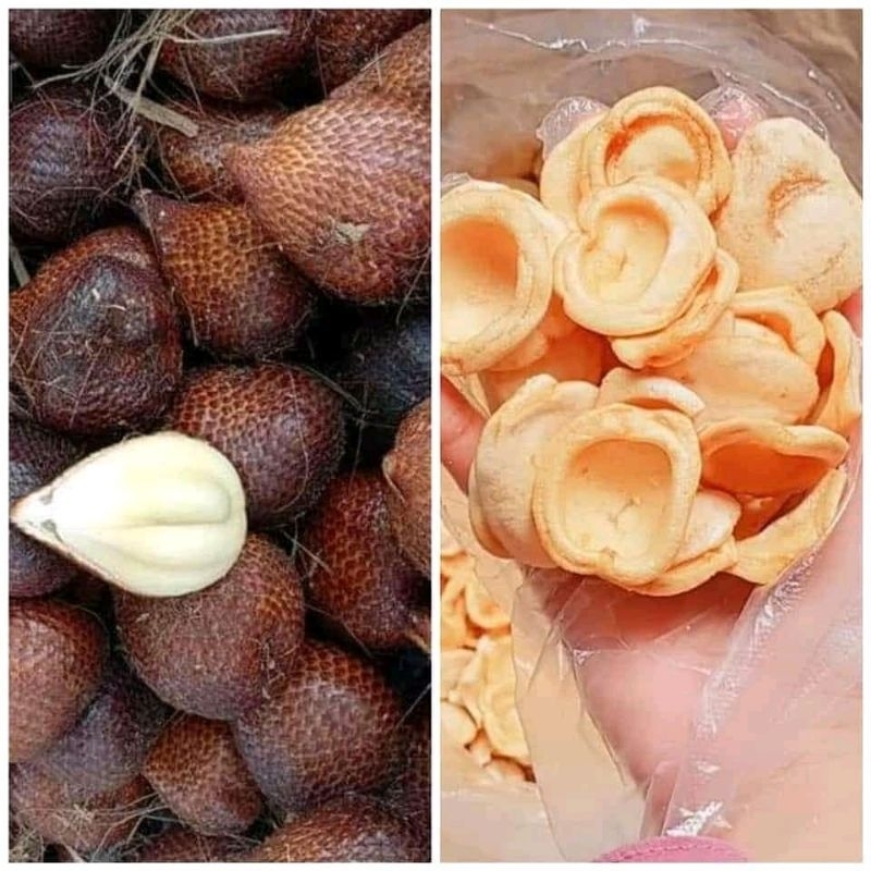 KERIPIK BUAH SALAK OVEN SNACK CEMILAN 1 BALL