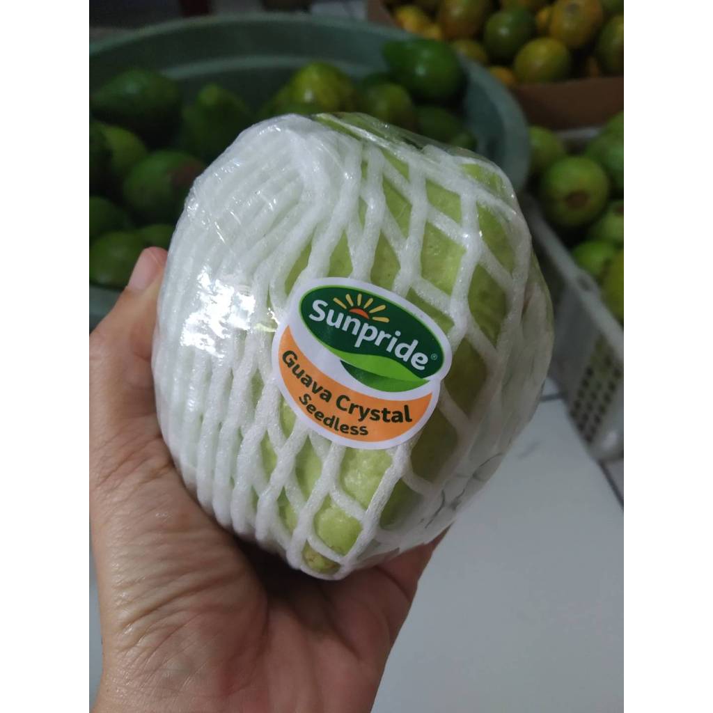 

Jambu Kristal Sunpride