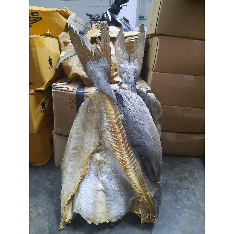 

Ikan asin Tulang Jambal roti