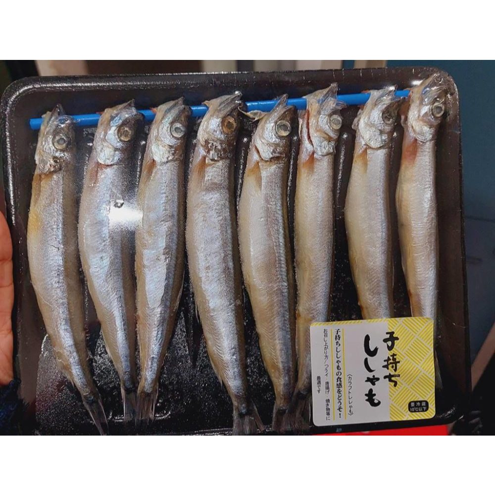 

Ikan Shisamo isi 8 Ikan Cipung Per Pack, Ready Stock Delivery Jogja