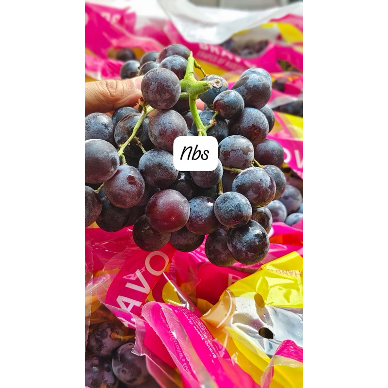 

anggur autumn 1kg