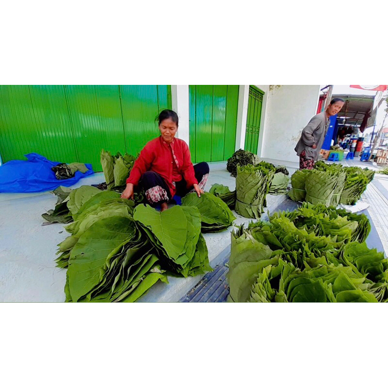 

Daun Jati Bungkus Makanan