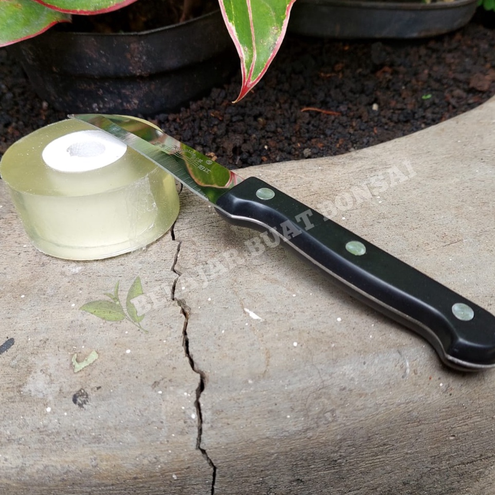 Paket Alat Okulasi Grafting Tape Dan Pisau Okulasi Mata