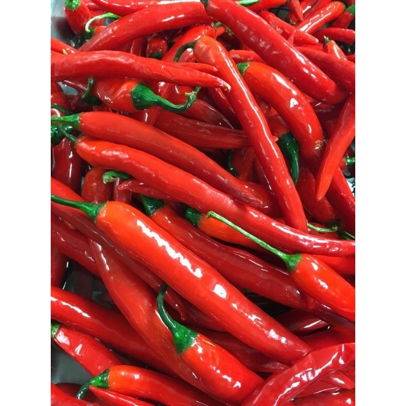 

LOMBOK MERAH 500GRAM FRESH