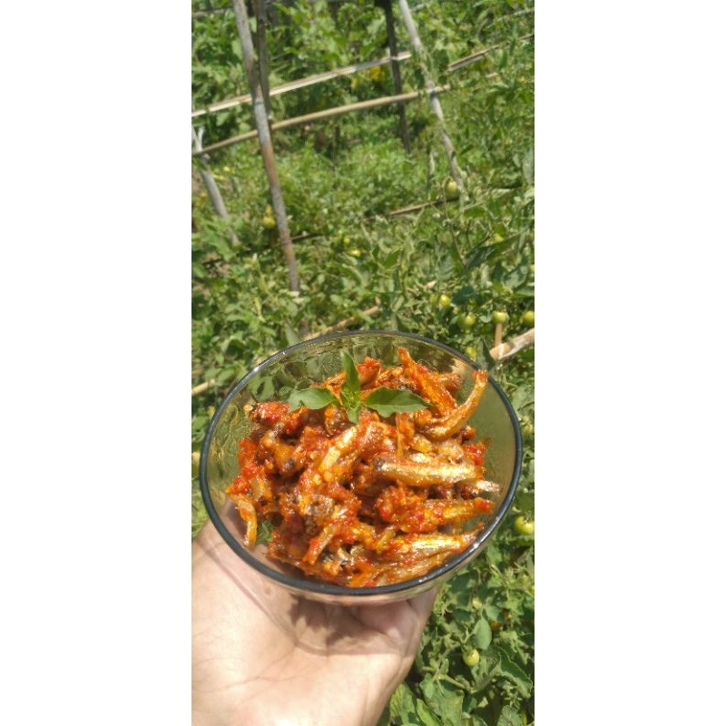 

sambal teri
