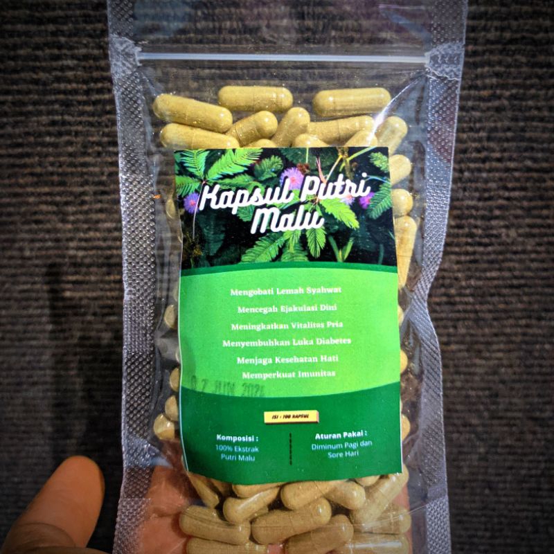 Kapsul Putri Malu isi 100 Kapsul Termurah Alami