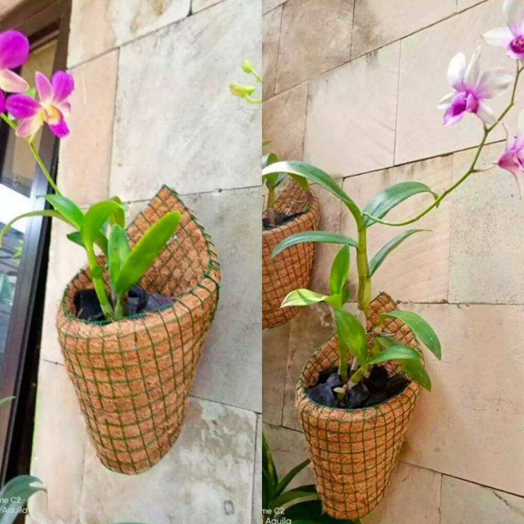 Promo # Pot anggrek dendro vanda cathlleya bulan serabut kelapa dinding tempel SUGIASIH24 aG