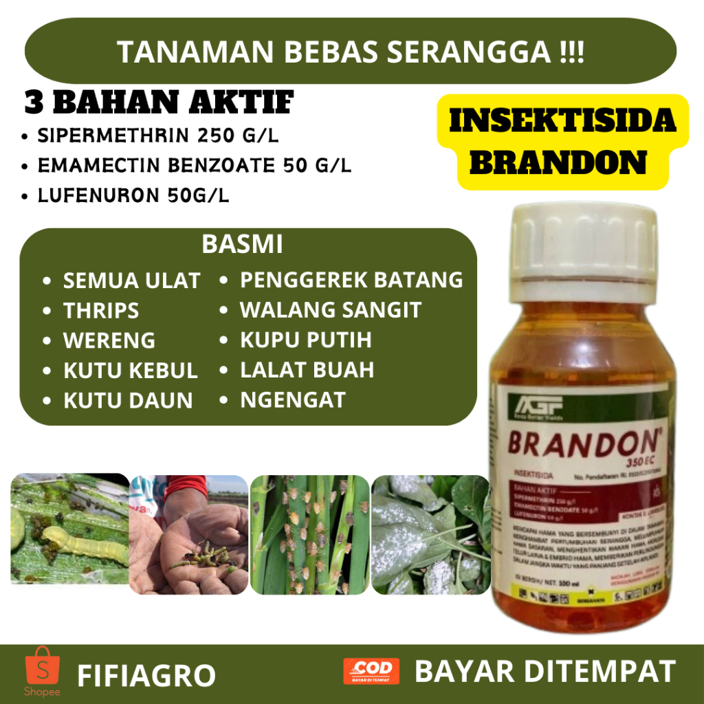 BRANDON Insektisida Pembasmi Ulat Grayak Bawang Merah | Ulat Tanah, Ulat Daun, Penggerek, Sundep | O